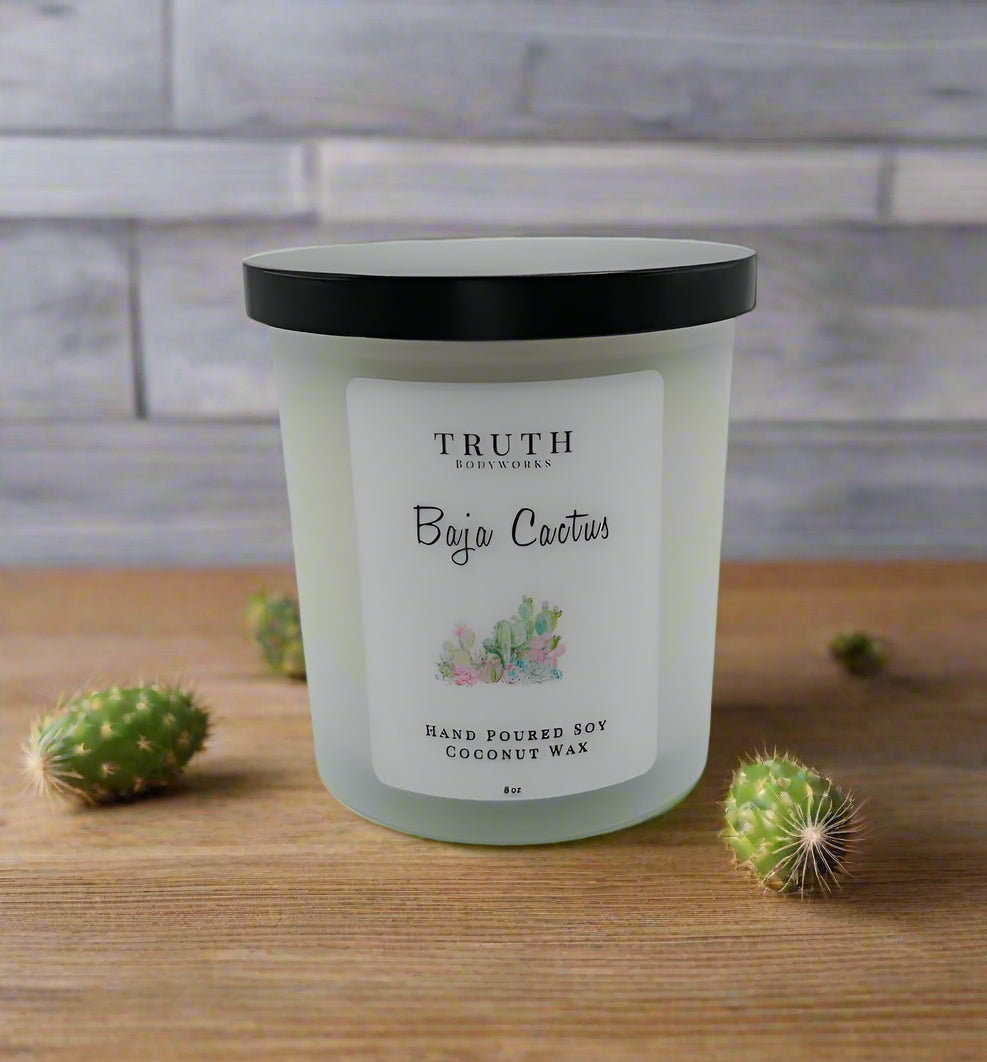 Baja Cactus